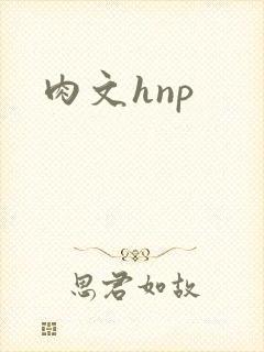 肉文hnp封面