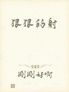 狠狠的射