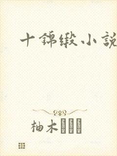 十锦缎小说封面