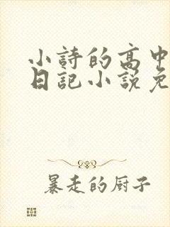 小诗的高中成长日记小说免费阅读