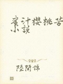 蜜汁樱桃苦咖啡小说