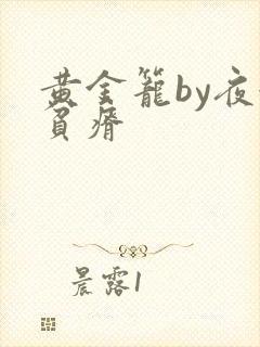 黄金笼by夜很贫瘠