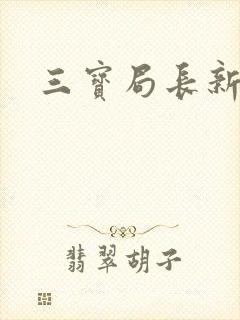 三宝局长新编封面