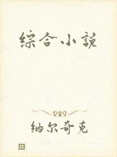 综合小说封面
