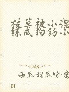 校草被小混混训练成狗的小说封面