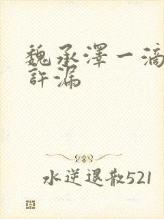 魏承泽一滴都不许漏封面