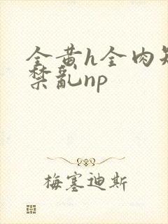 全黄h全肉短篇禁乱np封面