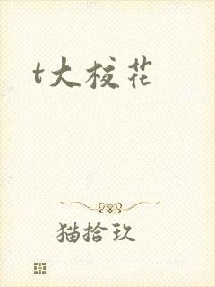 t大校花