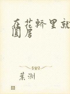 在花轿里就开始圆房