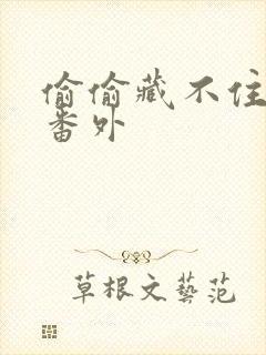 偷偷藏不住新婚番外