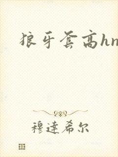 狼牙套高hnp