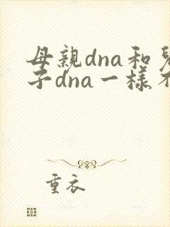 母亲dna和儿子dna一样不封面