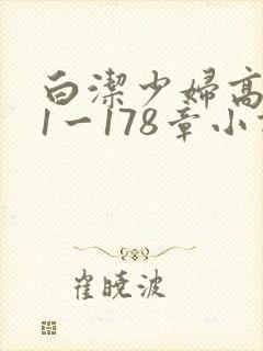 白洁少妇高义第1一178章小说封面