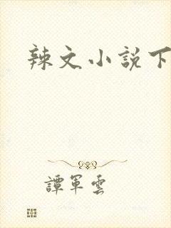 辣文小说下载