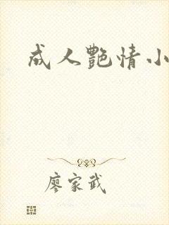 成人艳情小说封面