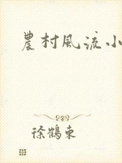 农村风流小说