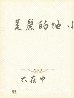 美丽的他 小说