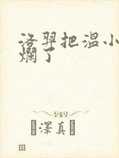 洛羿把温小辉做烂了