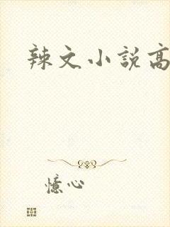 辣文小说高h