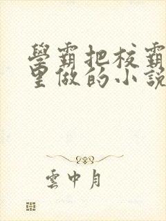 学霸把校霸往死里做的小说封面