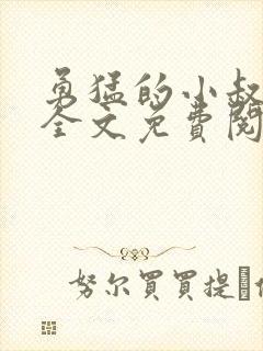 勇猛的小叔小说全文免费阅读