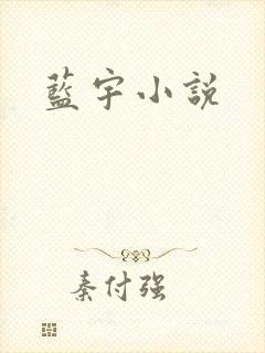 蓝宇小说
