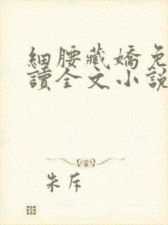 细腰藏娇免费阅读全文小说苏珞浅