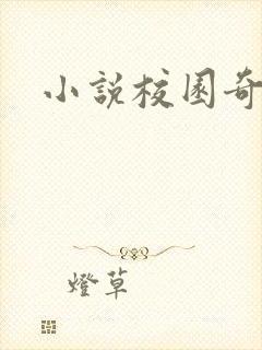 小说校园奇侠