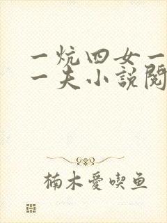 一炕四女一共侍一夫小说阅读封面