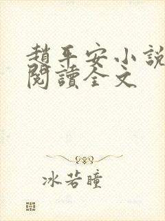 赵平安小说免费阅读全文
