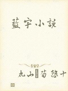 蓝宇小说
