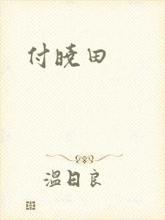 付晓田封面