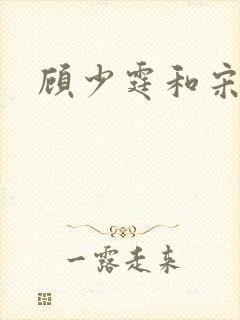 顾少霆和宋斯曼封面