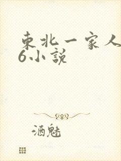 东北一家人1一6小说封面