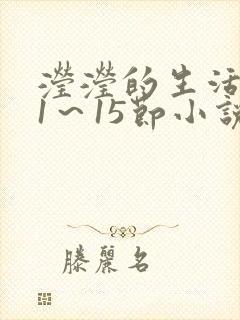 滢滢的生活日记1～15节小说封面