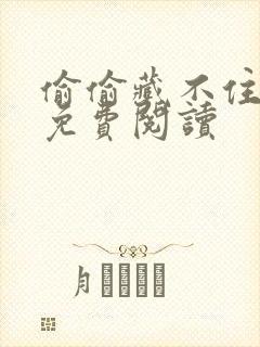 偷偷藏不住小说免费阅读