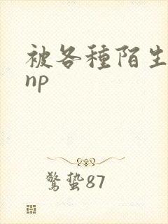 被各种陌生人 np