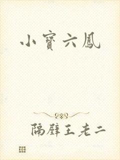 小宝六凤