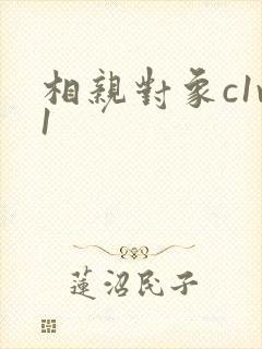 相亲对象c1v1