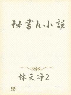 秘书h小说