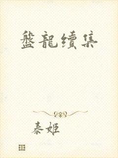盘龙续集