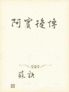 阿宾后传