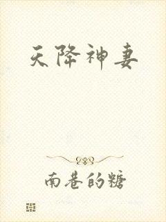 天降神妻封面