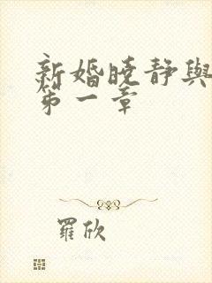新婚晓静与翁公笫一章封面
