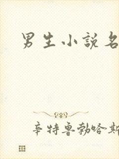 男生小说名字封面