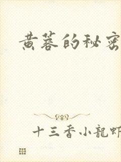 黄蓉的秘密