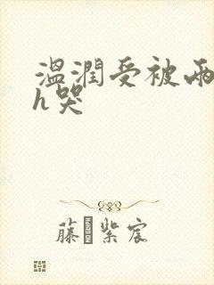 温润受被两个攻h哭