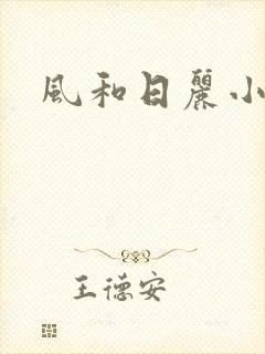 风和日丽小说