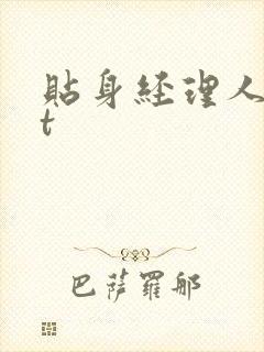 贴身经理人txt封面
