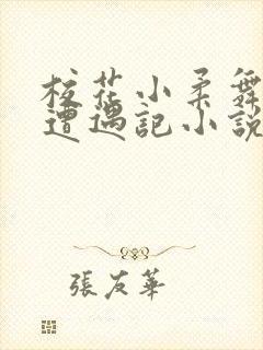 校花小柔舞蹈室遭遇记小说封面